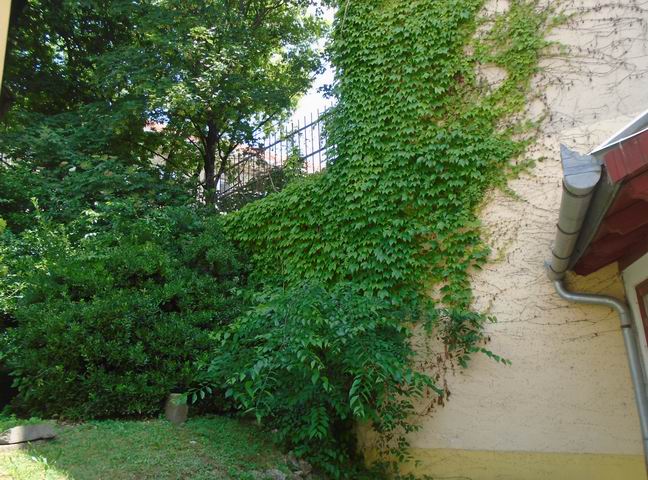 Veszprém abszolút belvárosában tetőtéri kertes lakás eladó. 6
