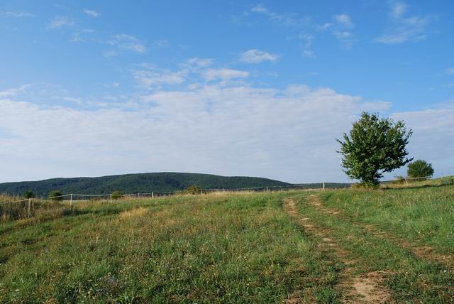Veszprémtől 20 kilométerre elhelyezkedő településen 1995-ben épült k… 10